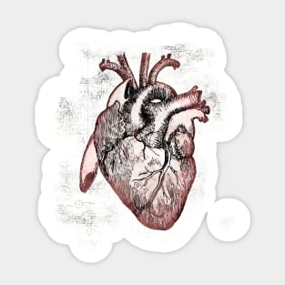 Heart Sticker